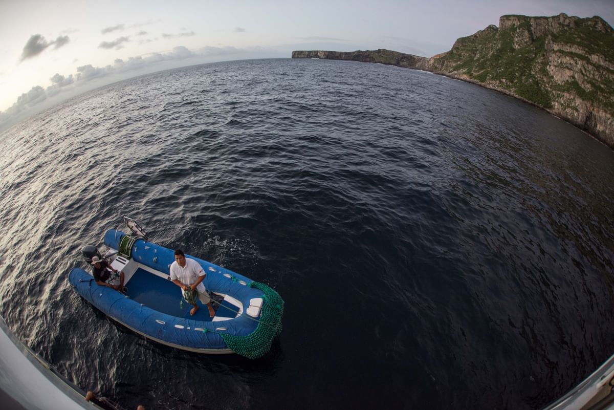 Tender of Galapagos Master