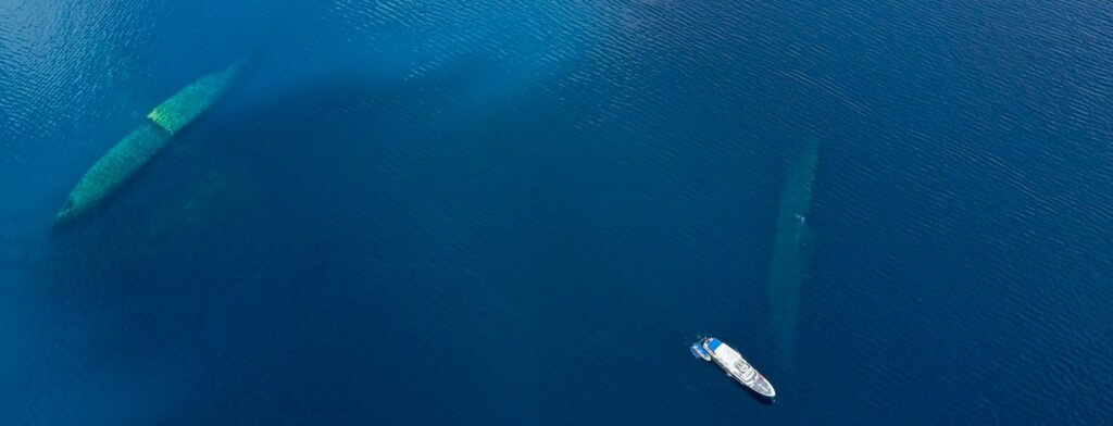 Hoyo Maru and Kiyosumi Maru with Truk Master