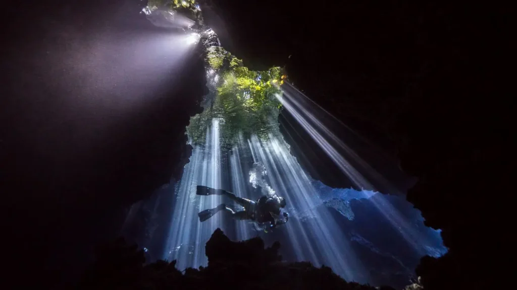 A diver inside The Cathedral at Morovo Lagoon, silhouetted against the light above, with jungle visible above.