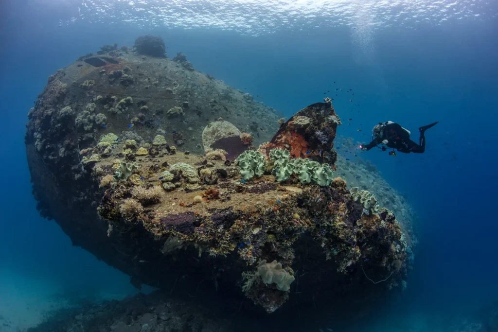 Liveaboard diving in Truk Lagoon - shallow coral encrusted stern and propeller of the Gosei Maru wreck