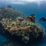 Why Should Truk Lagoon Be On Your Bucket List?