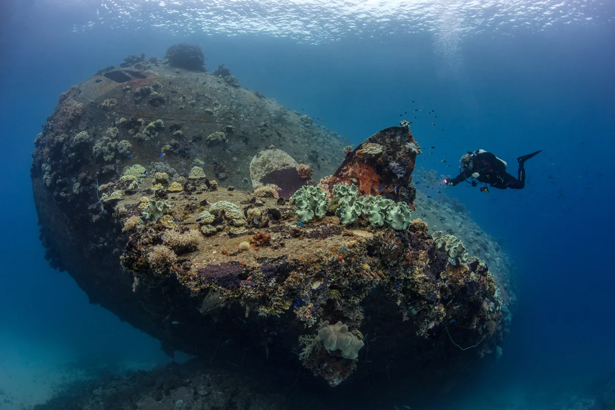 Liveaboard diving in Truk Lagoon - shallow coral encrusted stern and propeller of the Gosei Maru wreck