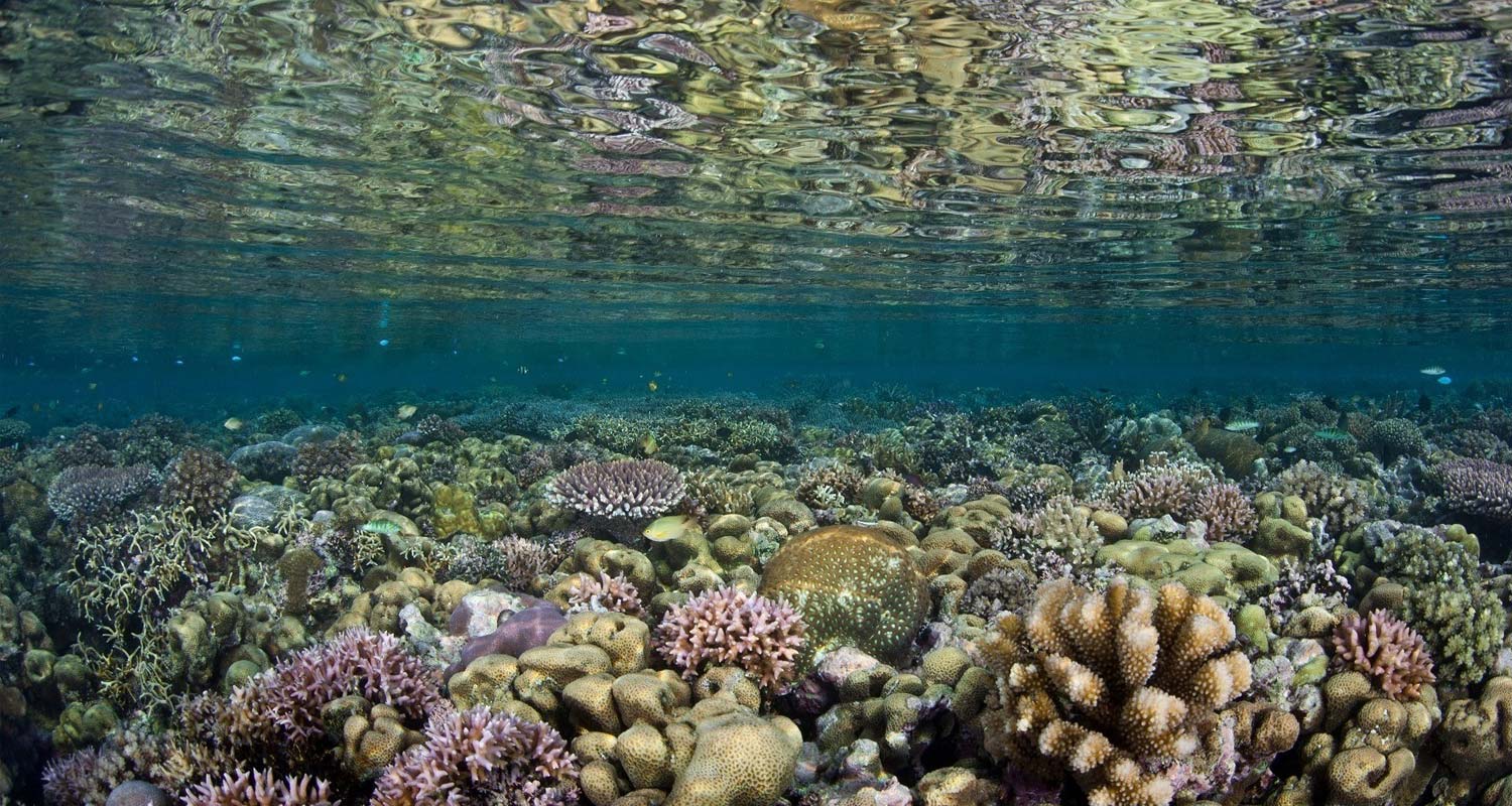 Solomon Islands Discovery - Solomons Liveaboard