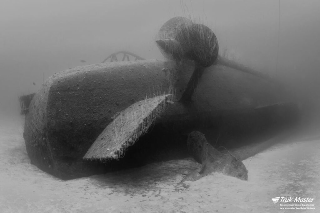 Black and white photo of the USS Anderson in Bikini