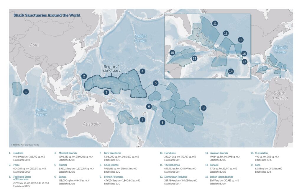 Shark Sanctuaries around the world