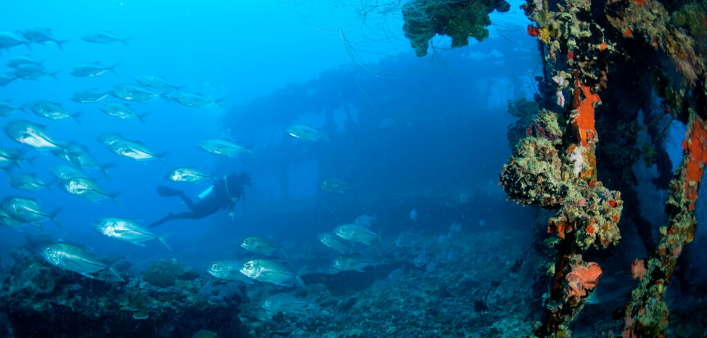 Diver on wreck in Palau