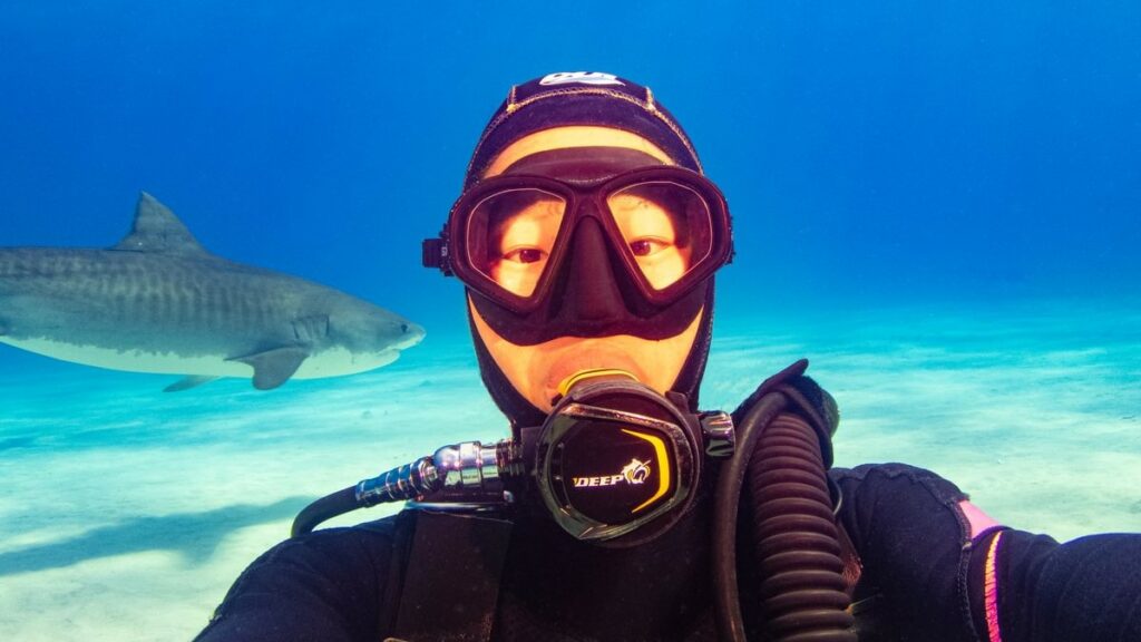 Fan and tiger shark in Bahamas