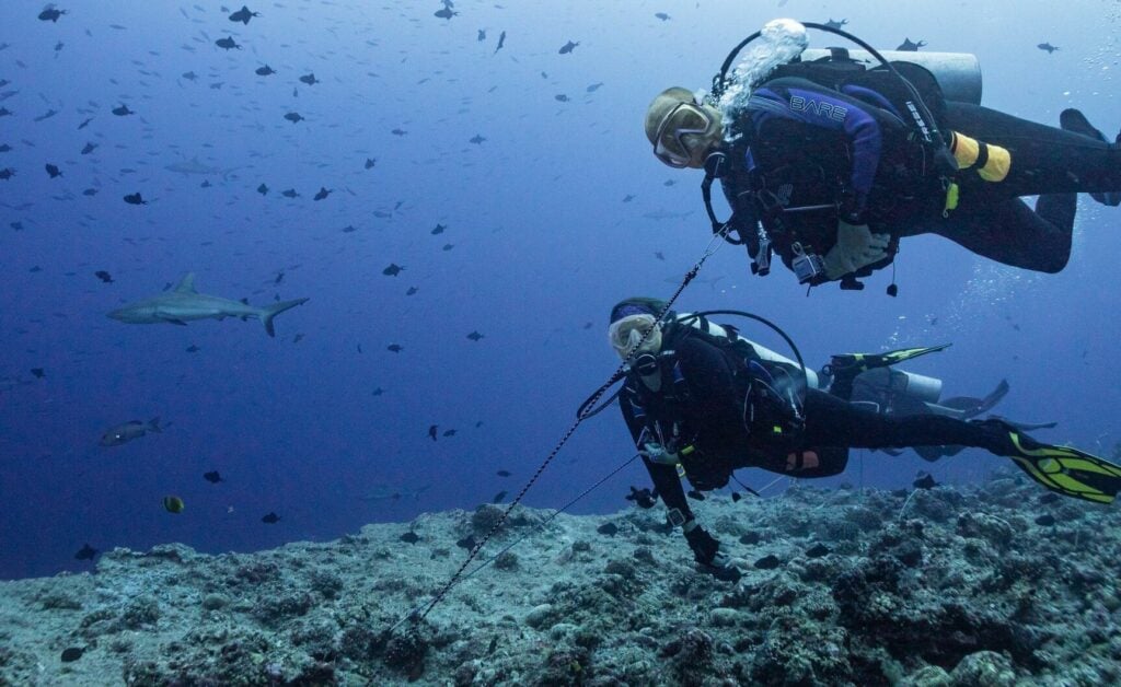 Reef hooked in Palau 