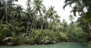 What happens in the tropics in summer?