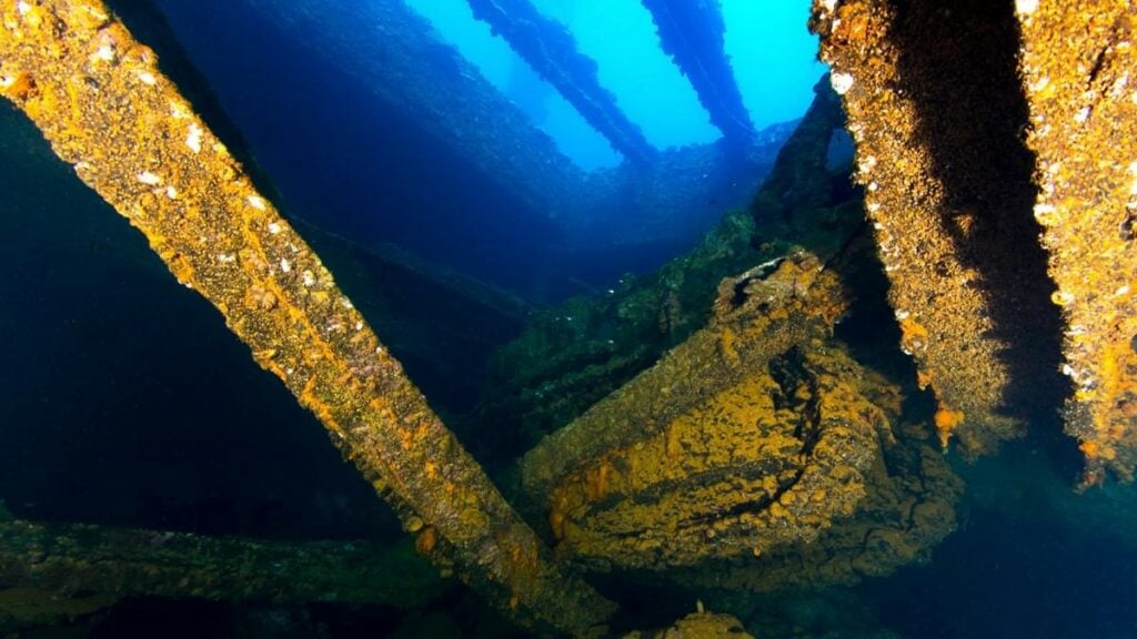 Famous bulldozer of Hoki Maru