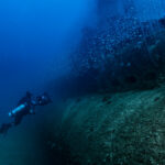 Dive the USS Apogon (SS-308)
