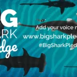 Big Shark Pledge from the Shark Trust