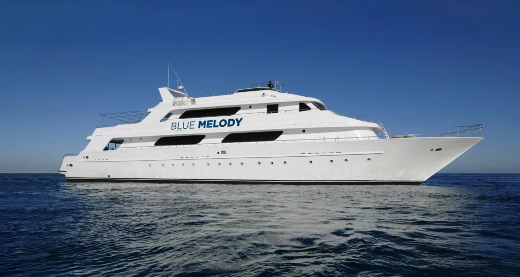 Blue Melody liveaboard - Red Sea Holidays