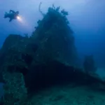 The SS Carnatic Wreck : An Iconic Red Sea Dive