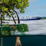 Solomon Islands Untamed Diving