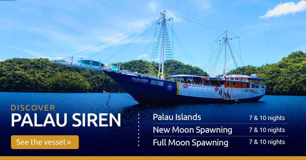 Palau SIren
