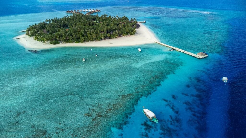Tropical Maldives island with white sand, palm trees, and turquoise lagoon viewed from a diving liveaboard