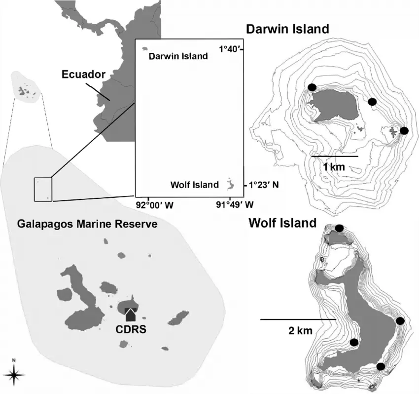 Map showing the location of Darwin Island in the Galápagos and its surrounding underwater topography. - Credit: Pelayo Salinas-de-Leon