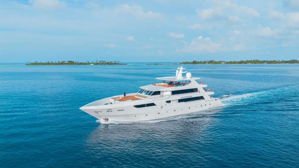 Liveaboards like Maldives Master are a perfect platform for diving with large marine animals