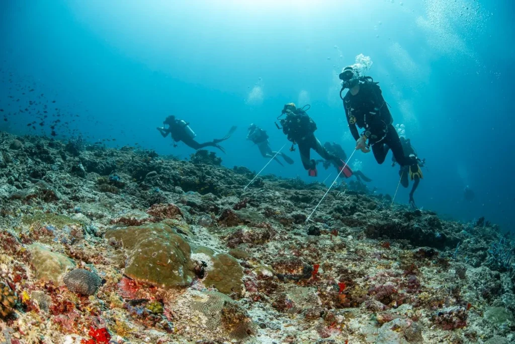 Divers hooked in, waiting for a channel time to deliver its wonders