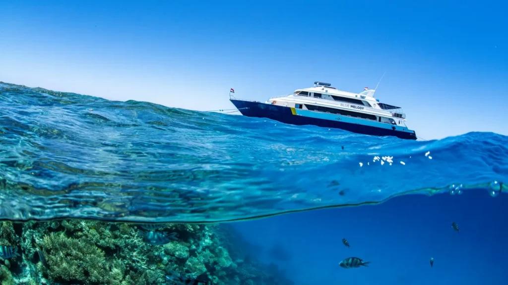 A split-shot showing a vibrant, healthy coral reef in the Red Sea below the surface and the Blue Melody liveaboard vessel floating above.