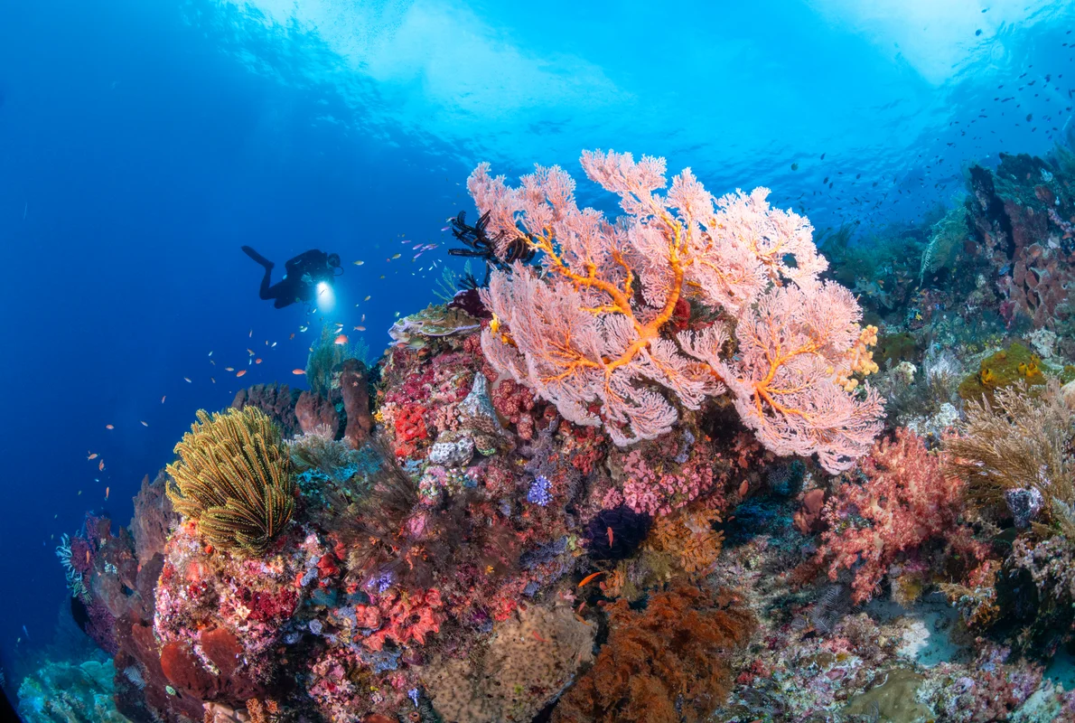 Indonesia