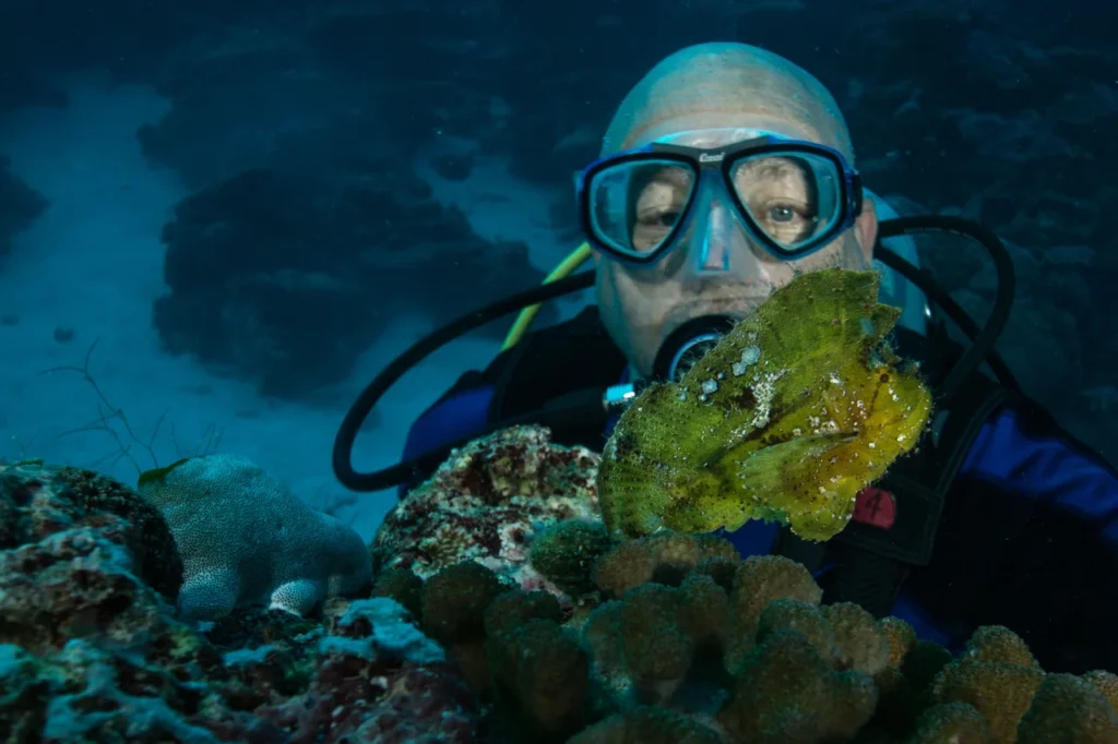 A scuba diver underwater looking at a tiny, colorful fish on a coral reef.