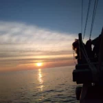 A Day in the Life on Board: What Really Happens Between Dives