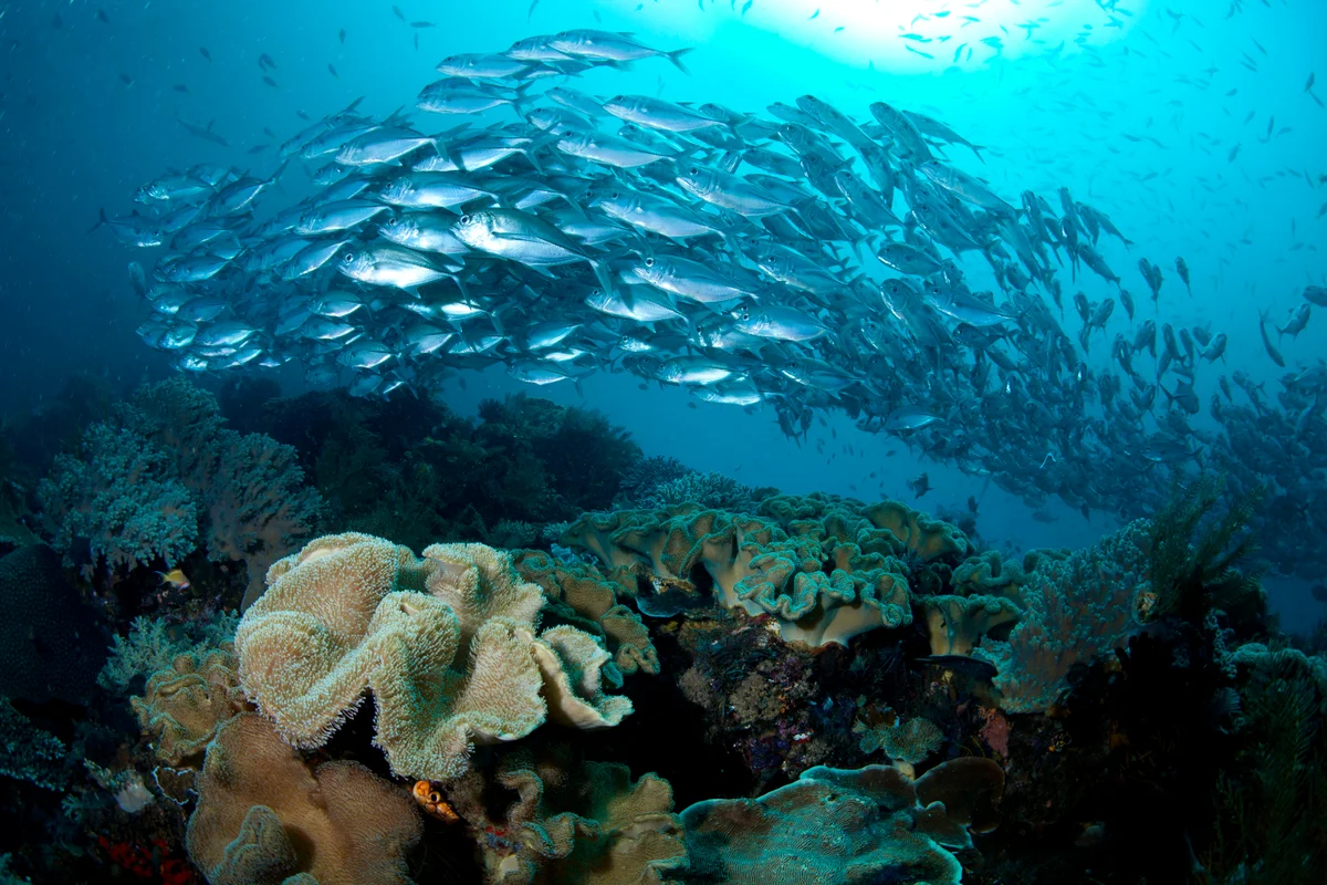 Indonesia