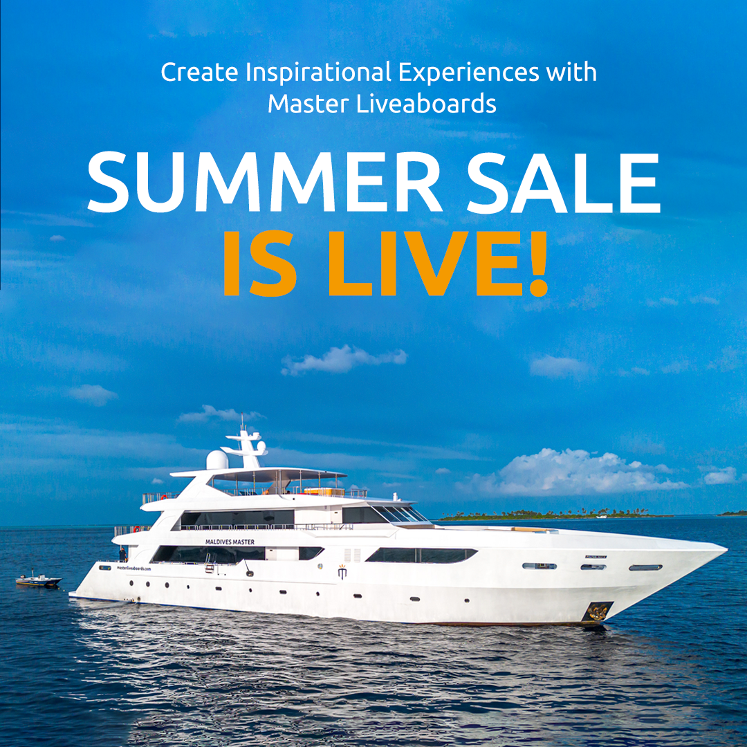 Summer Sale 2026