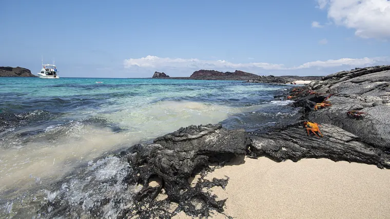 Galápagos Island Hopping