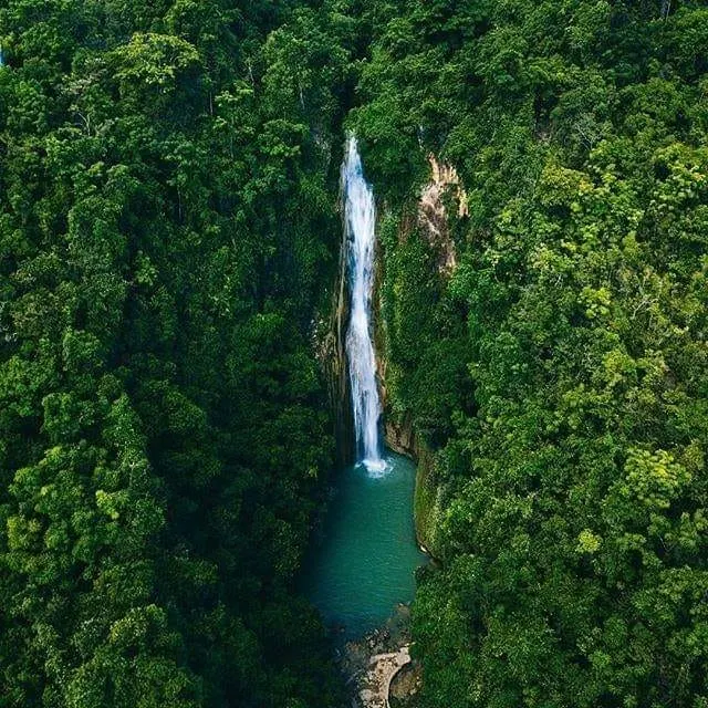 Mantayupan Falls & Moalboal