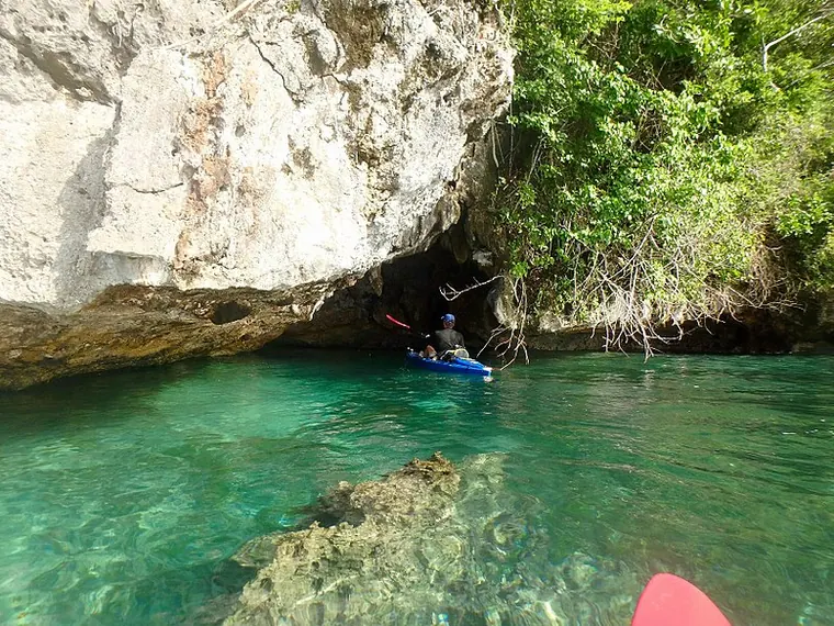 Nikko Bay Kayak & Snorkelling Tour