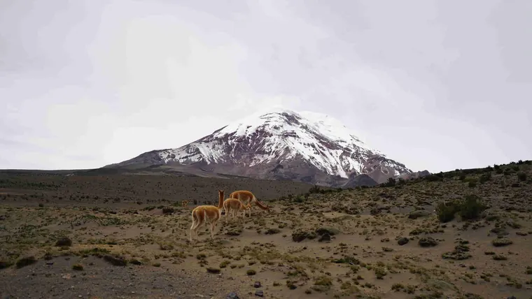 Volcano Trekking