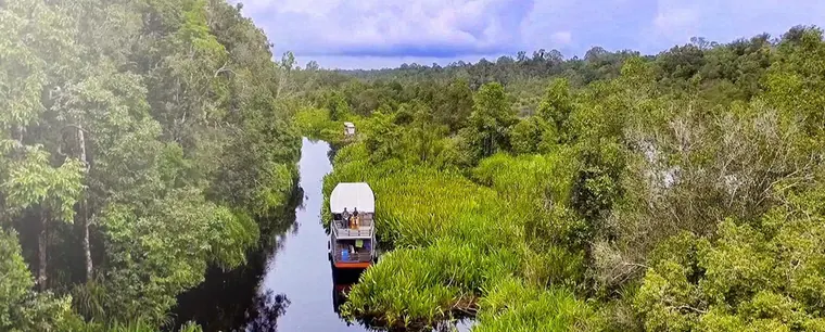 West Papua Birdwatching Adventures
