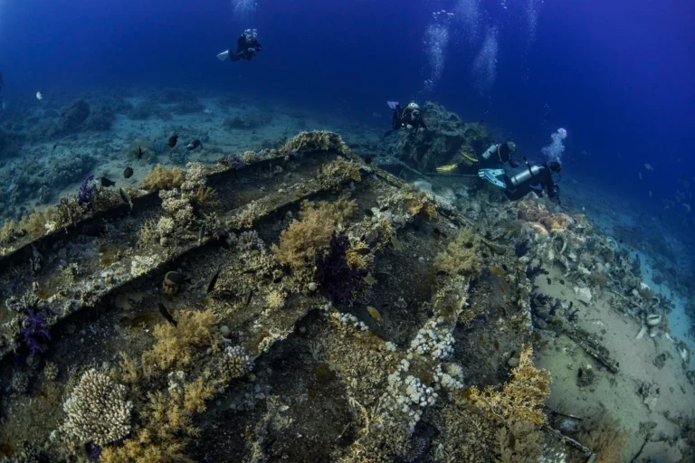 Egypt - Red Sea