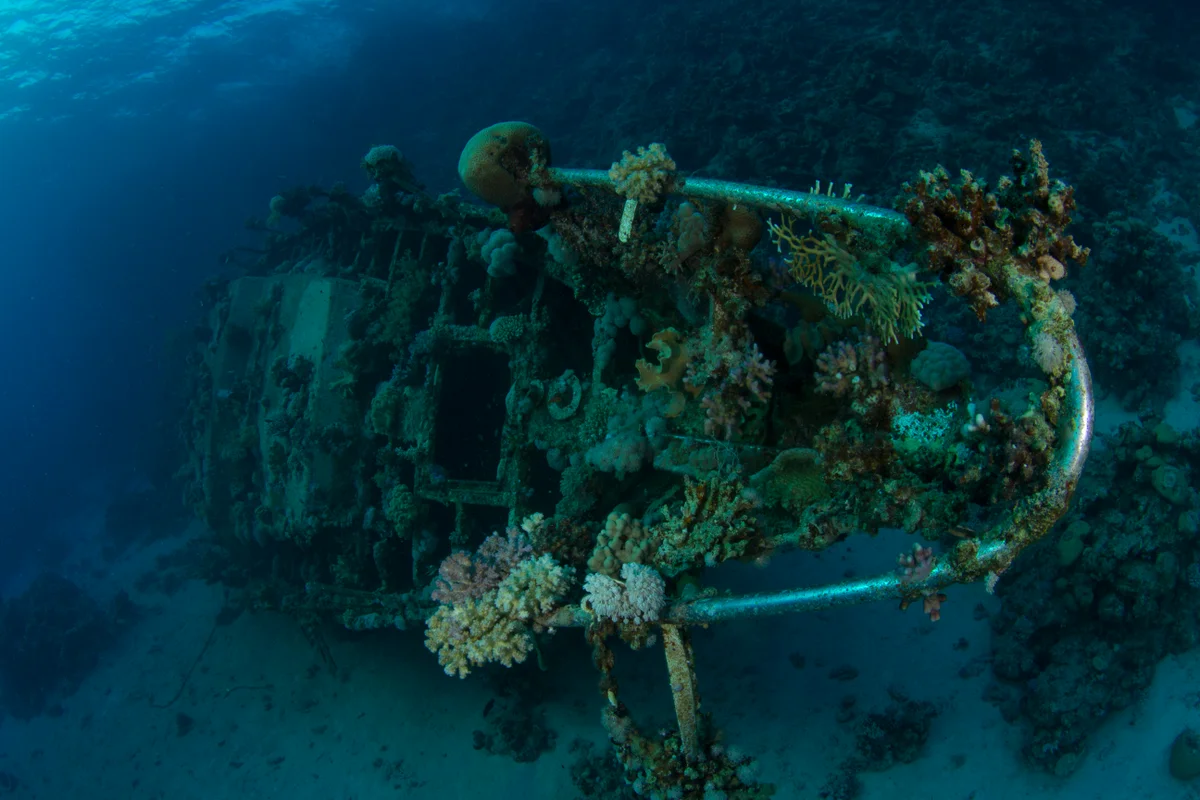 Egypt - Red Sea