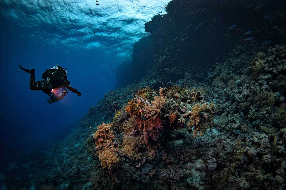Egypt - Red Sea