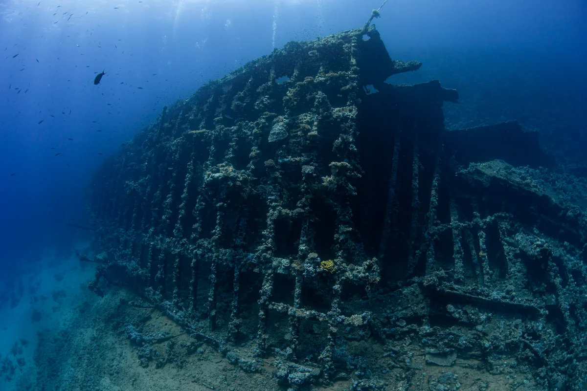 Egypt - Red Sea