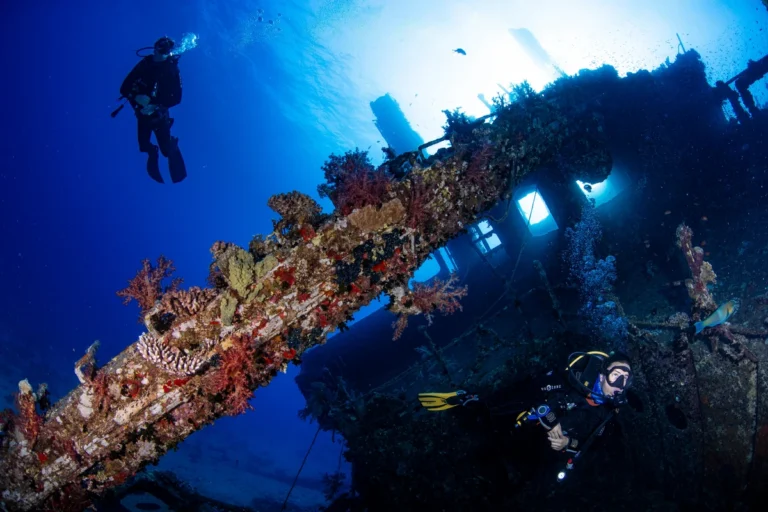 Egypt - Red Sea