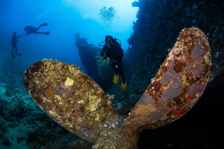 Egypt - Red Sea