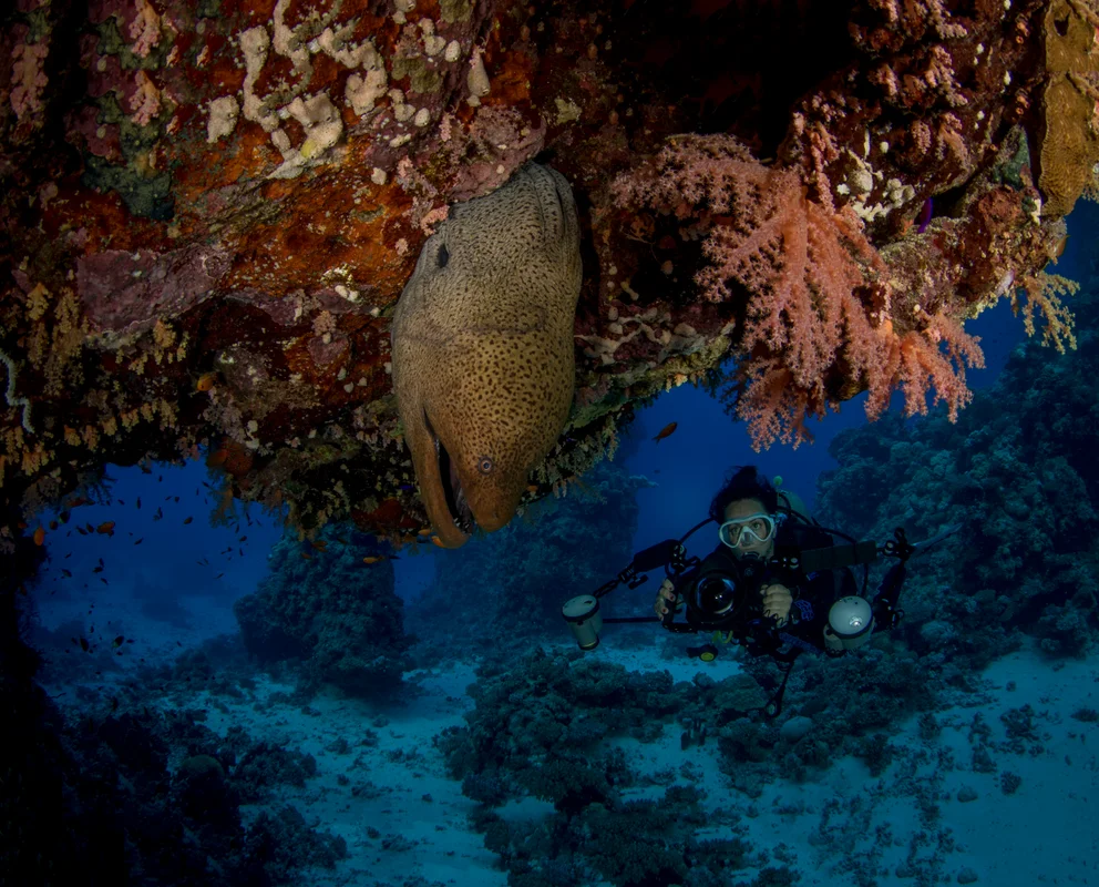 Egypt - Red Sea