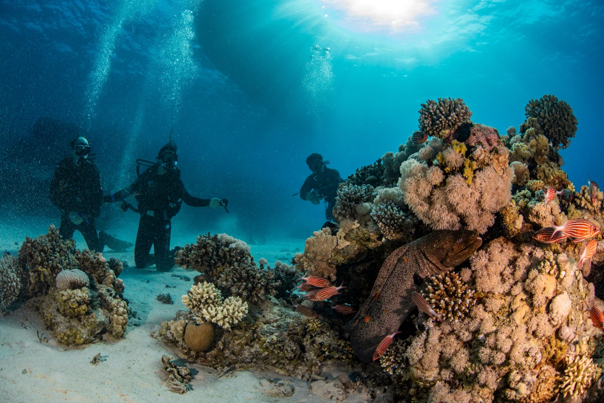Egypt - Red Sea