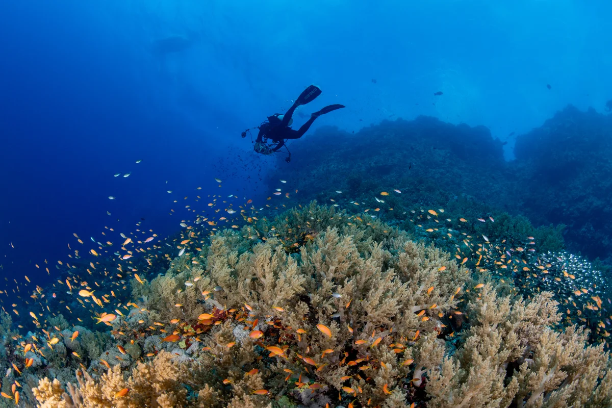 Egypt - Red Sea