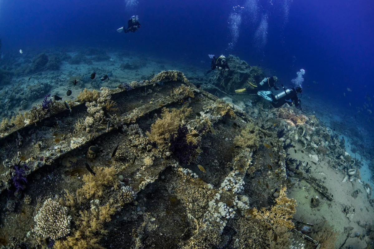 Egypt - Red Sea