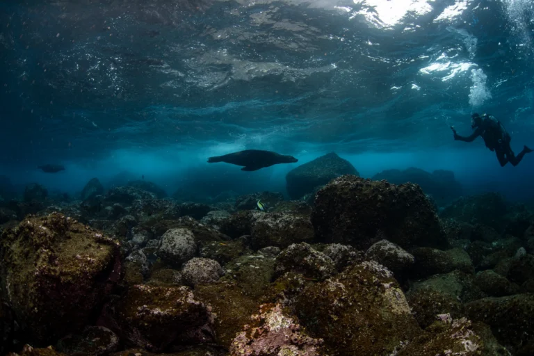 Galapagos Islands