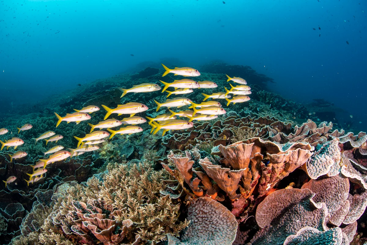 Indonesia