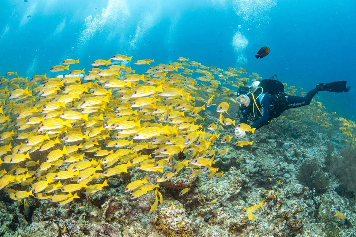 Maldives