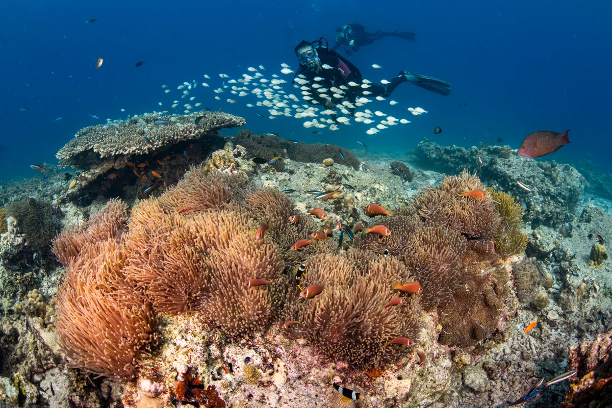 Maldives