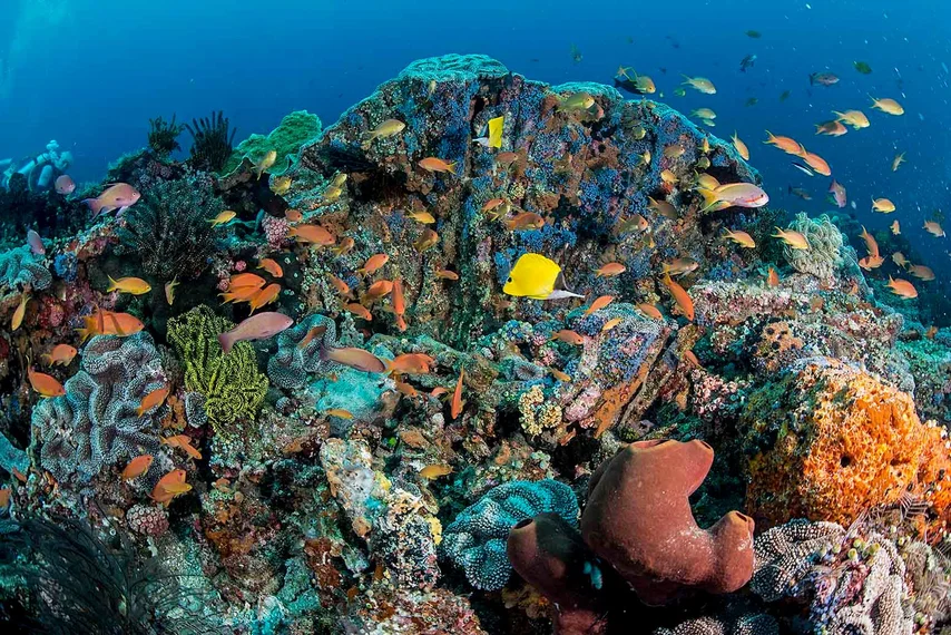 Philippines
